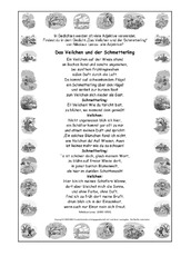 Adj-Veilchen-Schmetterling-Lenau.pdf